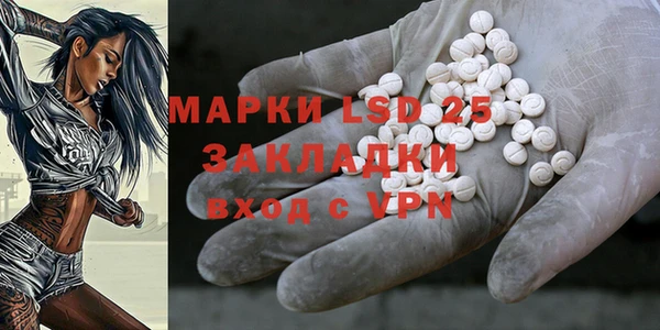 шишки Аркадак