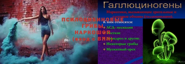 амф Балахна